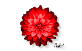 fleur