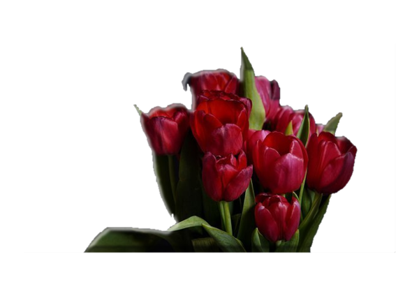 fleur